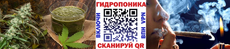 Купить закладки  Николаевск  Cannafood конопля 