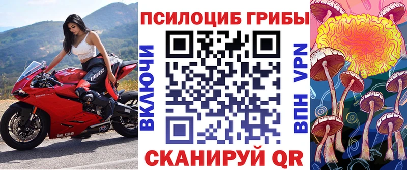 Купить закладки Николаевск Псилоцибиновые грибы Psilocybe